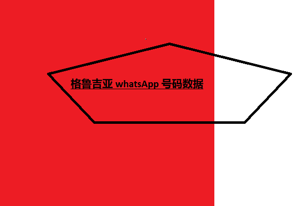 格鲁吉亚 whatsApp 号码数据 